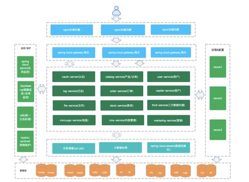多租户架构下的若依Cloud数据处理服务与CSDN实践