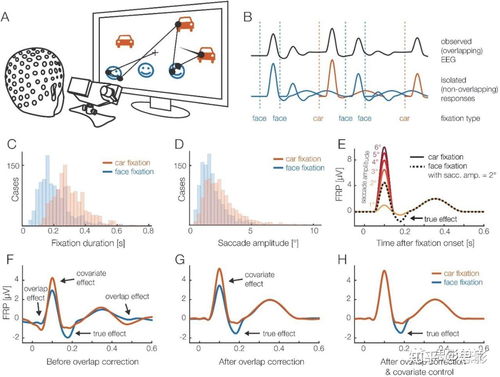 思影科技眼动数据处理服务与软件开发，赋能精准视觉洞察