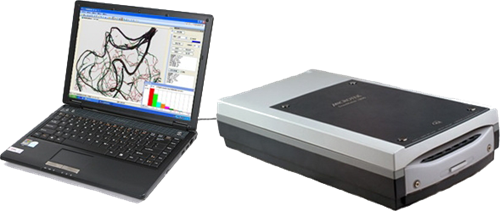 植物根系的功能与数据处理服务在生态研究中的应用