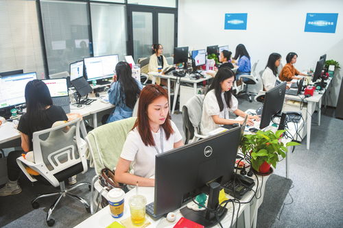 海口加速数据跨境业务发展，打造数字高地与软件开发新引擎